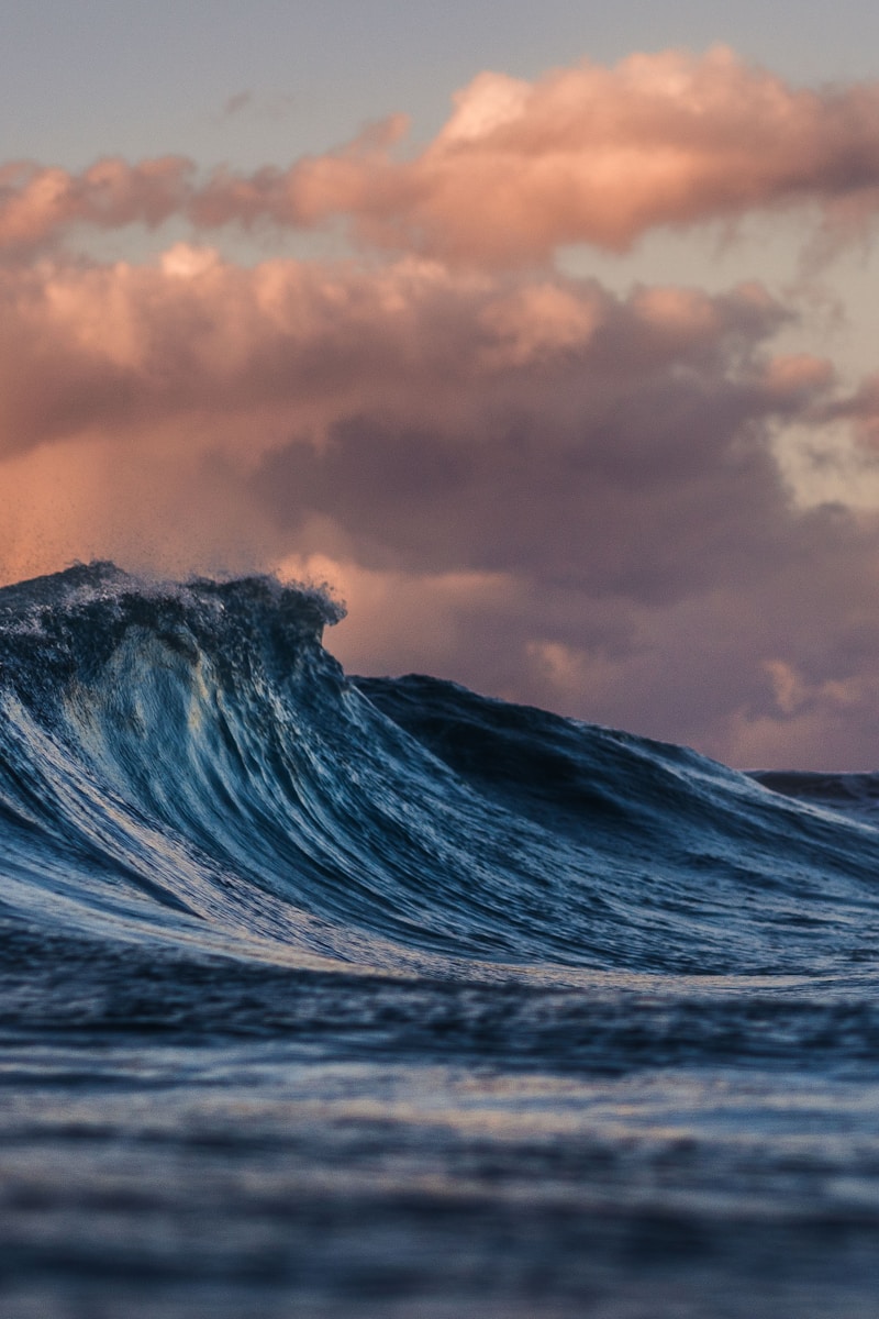 Full Day Hermanus