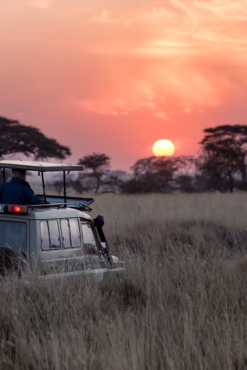 Full Day Safari (Aquila)